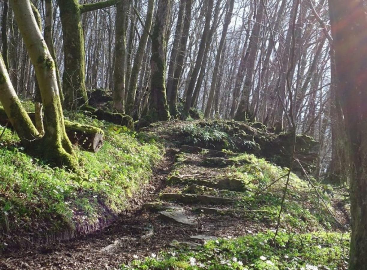 La Chouette Au Bouleau Villa Hargnies Dış mekan fotoğraf