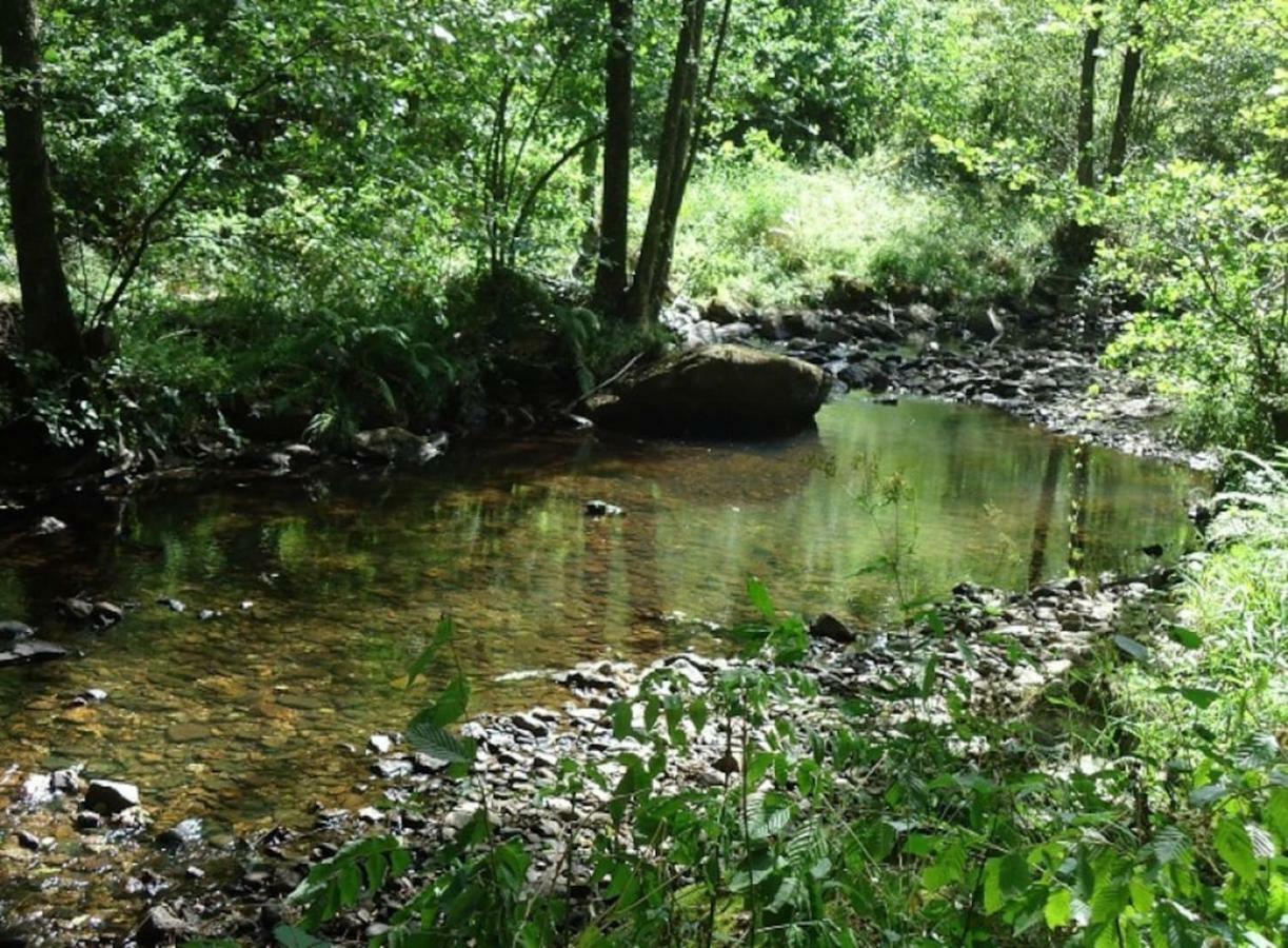 La Chouette Au Bouleau Villa Hargnies Dış mekan fotoğraf