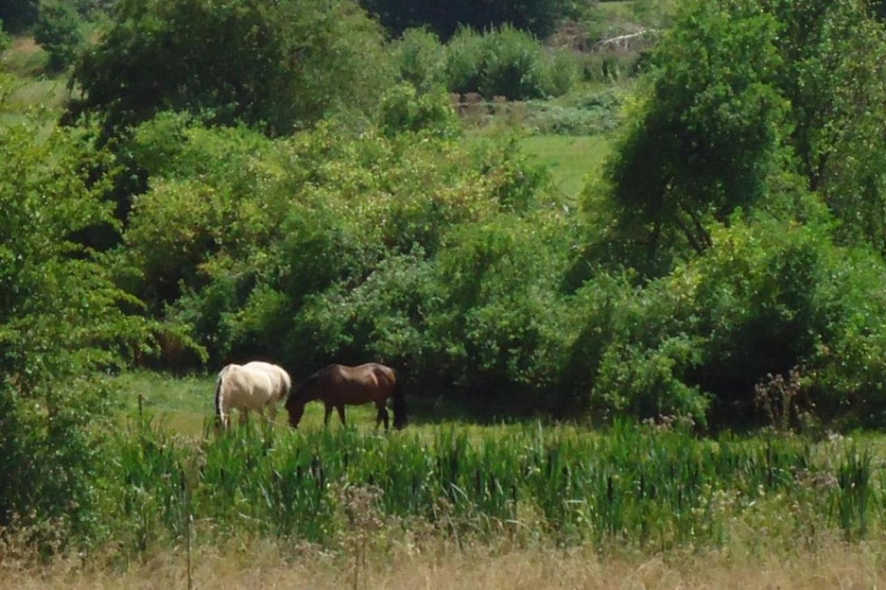 La Chouette Au Bouleau Villa Hargnies Dış mekan fotoğraf